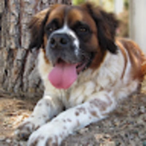 Meet your Posher, Sue